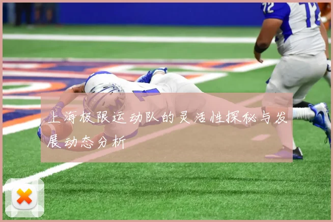 上海极限运动队的灵活性探秘与发展动态分析