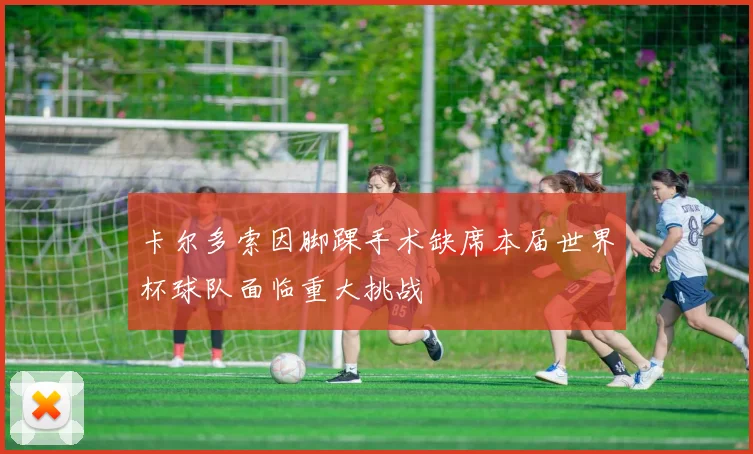 卡尔多索因脚踝手术缺席本届世界杯球队面临重大挑战